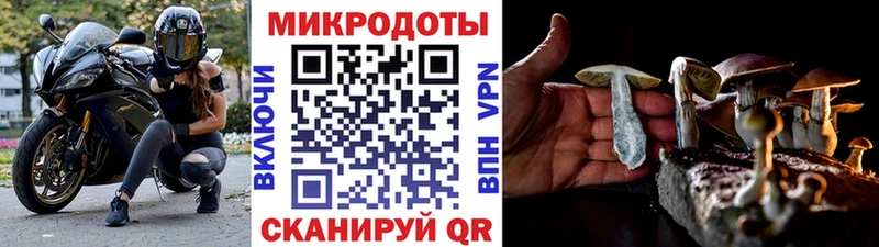 хочу   ОМГ ОМГ маркетплейс  Псилоцибиновые грибы Psilocybine cubensis  Певек 
